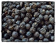 Recharge Poivre Tellicherry